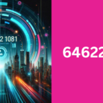 6462281081